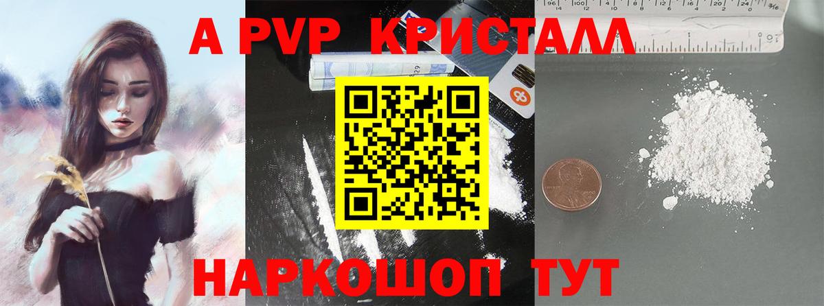 A PVP СК КРИС Орёл