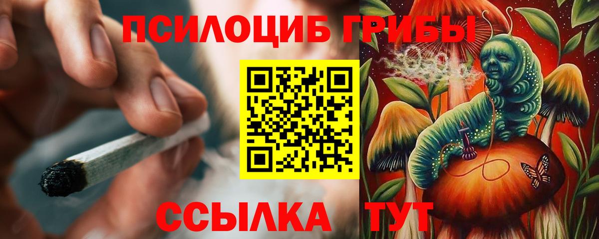 Псилоцибиновые грибы Cubensis  купить закладку  Псилоцибиновые грибы Psilocybe  Орёл  Вход с VPN 