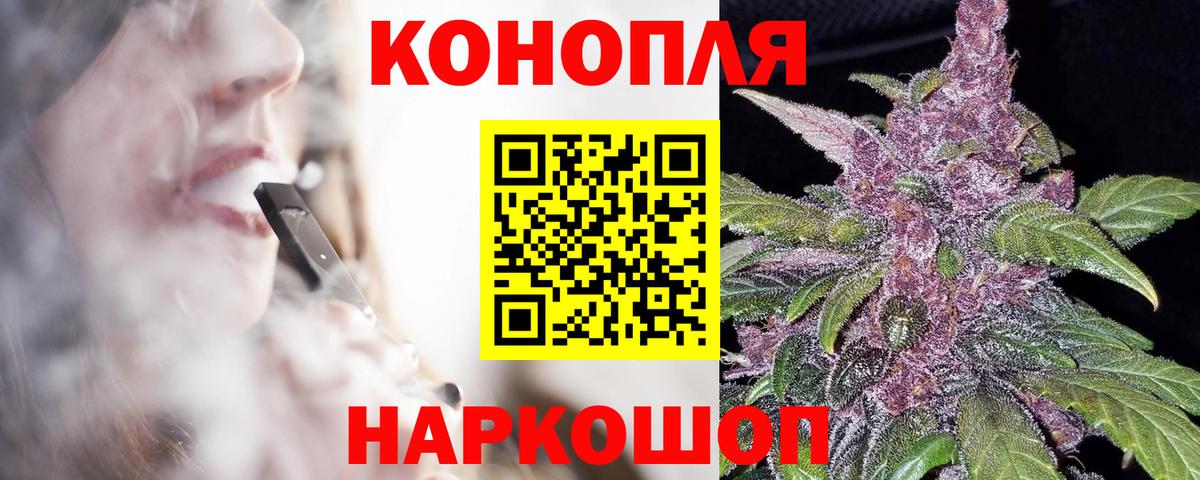 Конопля сатива Орёл