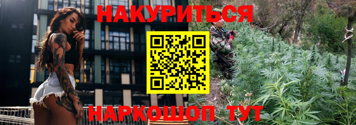 Шишки марихуана план  Канабис сатива  Каннабис OG Kush  Шишки марихуана тримм  Орёл  Вход с VPN 